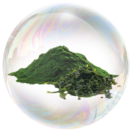 Spirulina (Arthrospira platensis)**